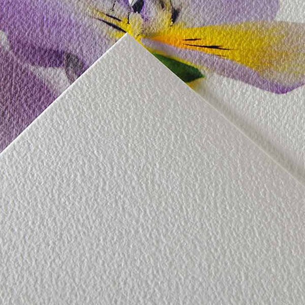 Papel texturizado en interiores (1 pz)