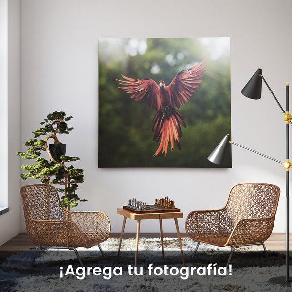 Cuadro Decorativo | Tela Canva